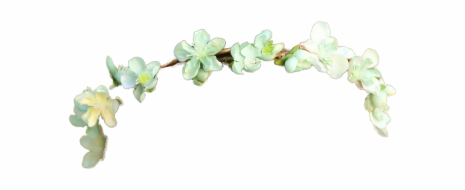 Download High Quality transparent flower crown white Transparent PNG