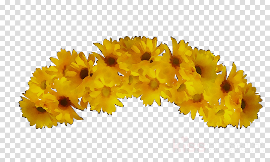 Download High Quality transparent flower crown yellow Transparent PNG