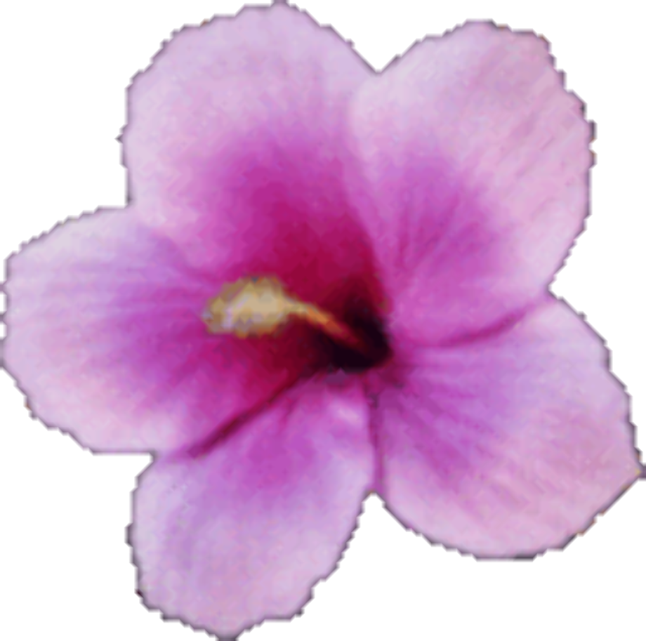 transparent gif flower