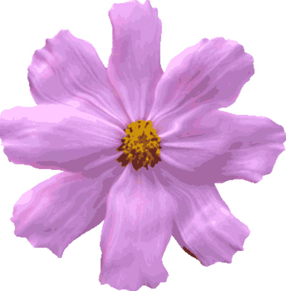 transparent gif flower