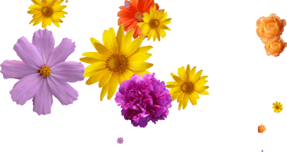 Download High Quality gif transparent flower Transparent PNG Images