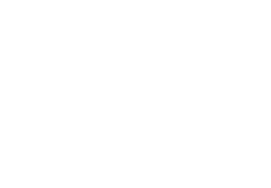 transparent language graphic