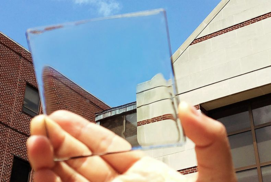 transparent solar panels msu