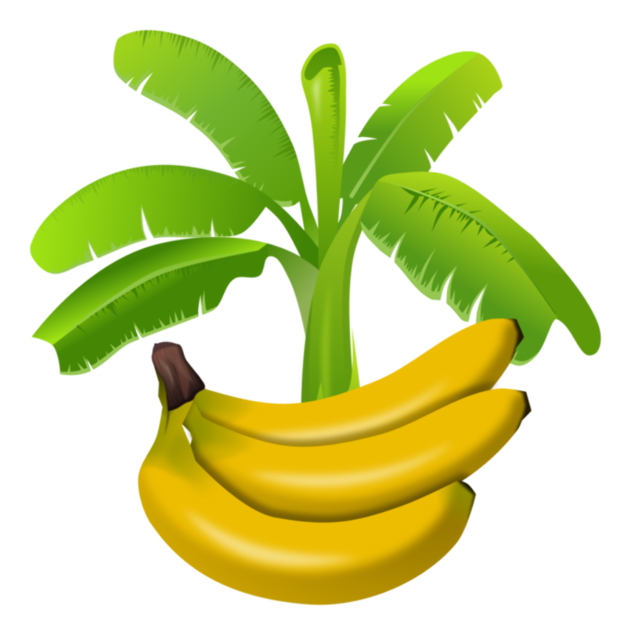 Download High Quality Tree clipart banana Transparent PNG Images - Art