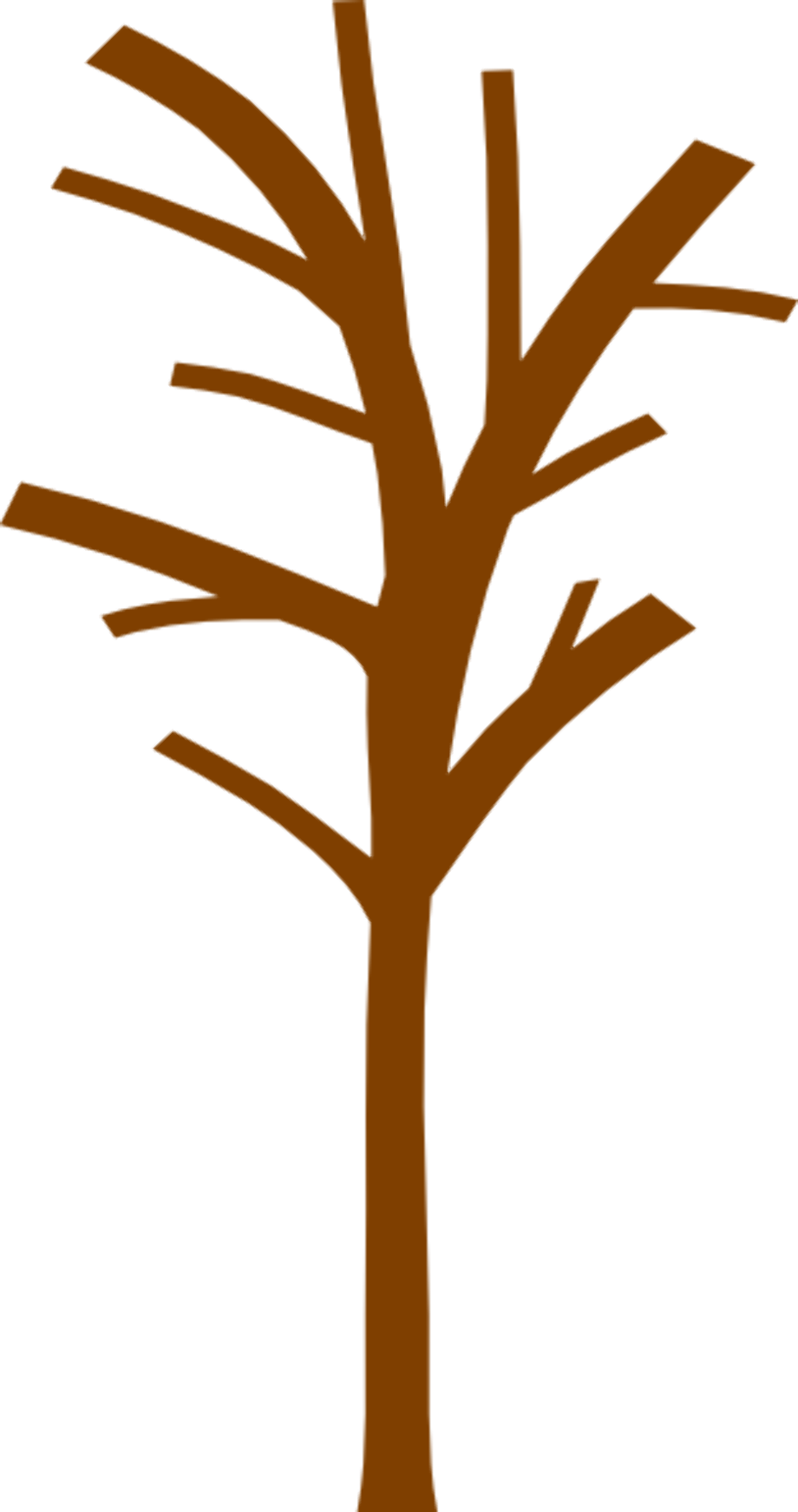 Tree clipart trunk