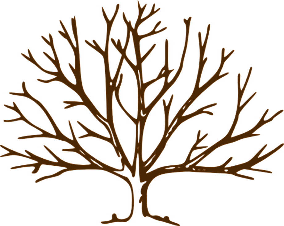 Tree clipart branches
