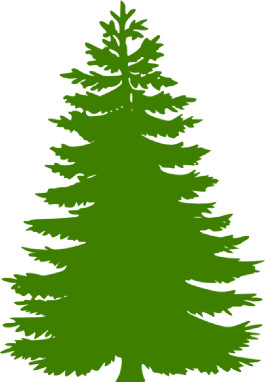 pine tree clip art cedar