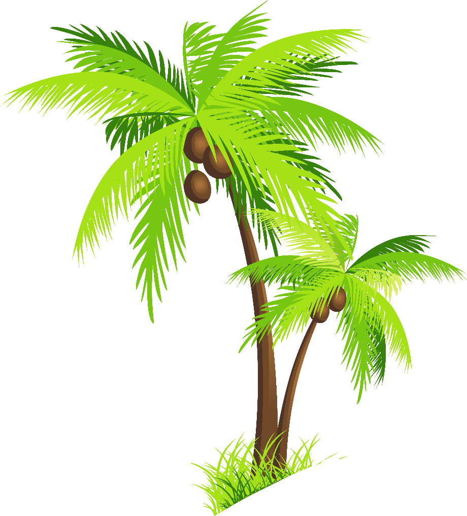 Tree clipart palm trees