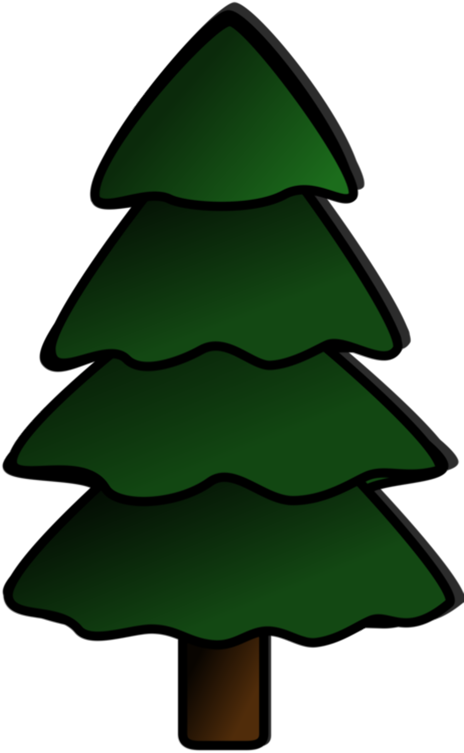 Download High Quality Tree clipart evergreen Transparent PNG Images