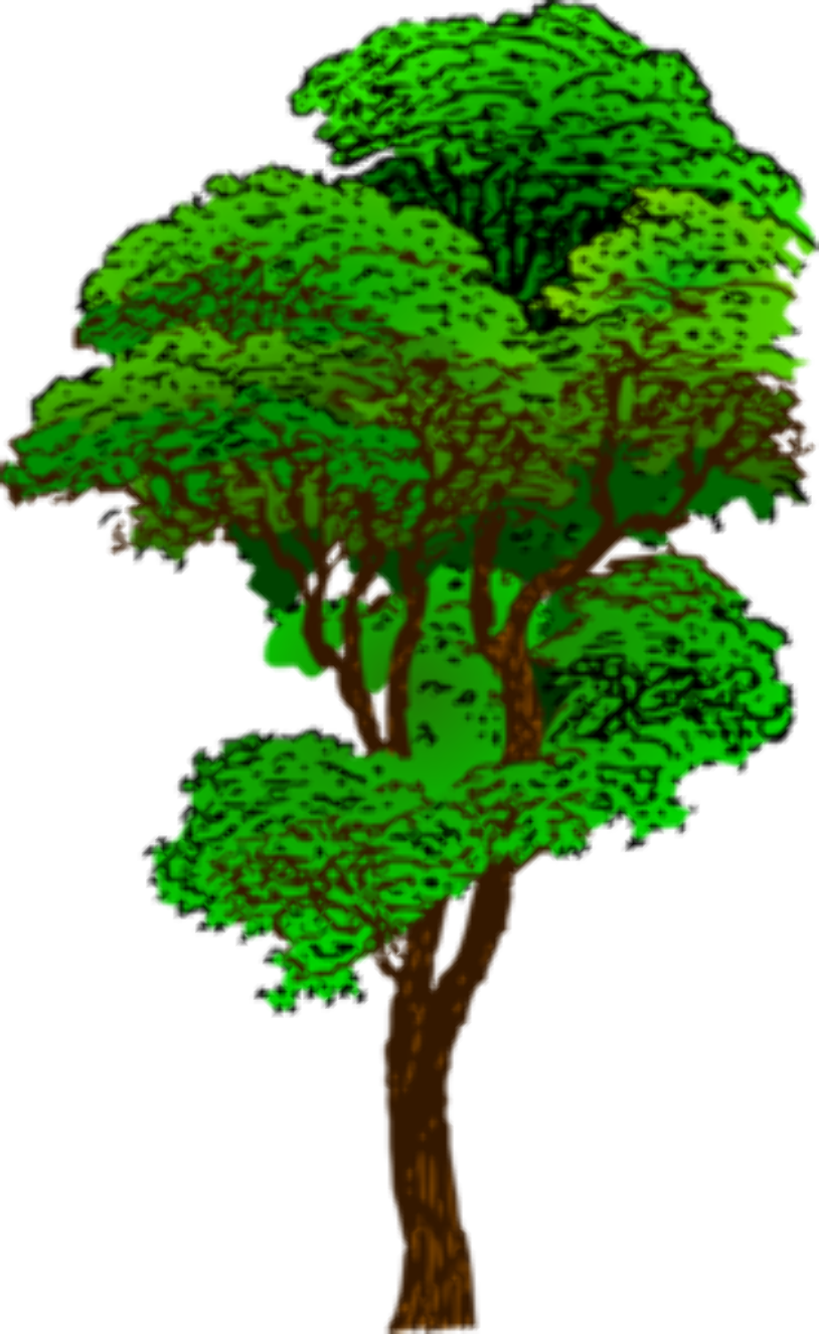 Tree clipart forest