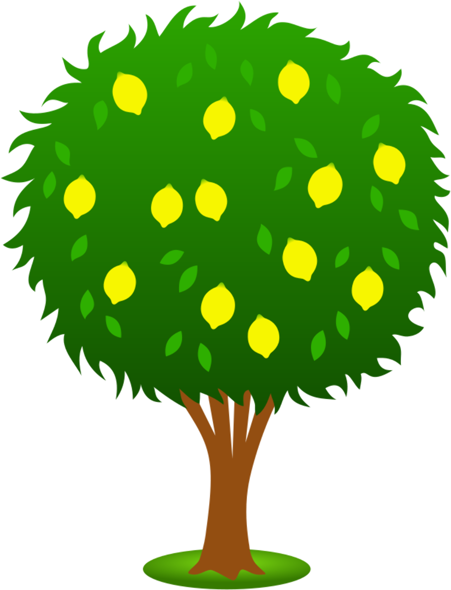 Tree clipart fruit