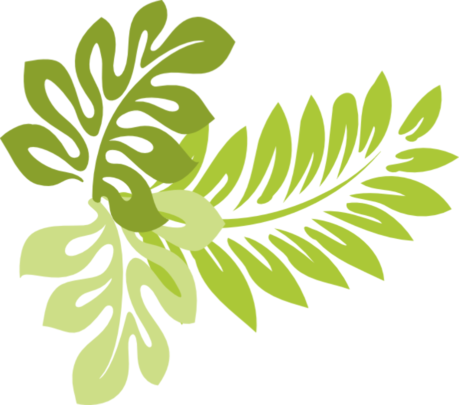 leaf clipart tropical