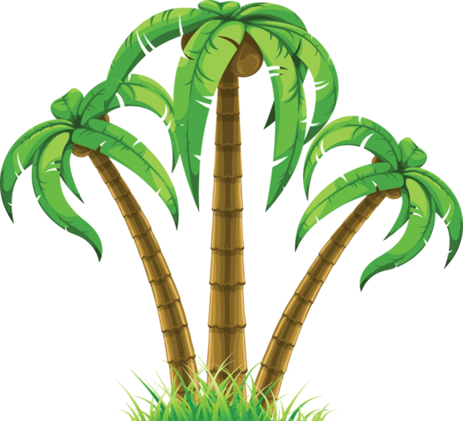 Download High Quality palm tree clipart summer Transparent PNG Images ...