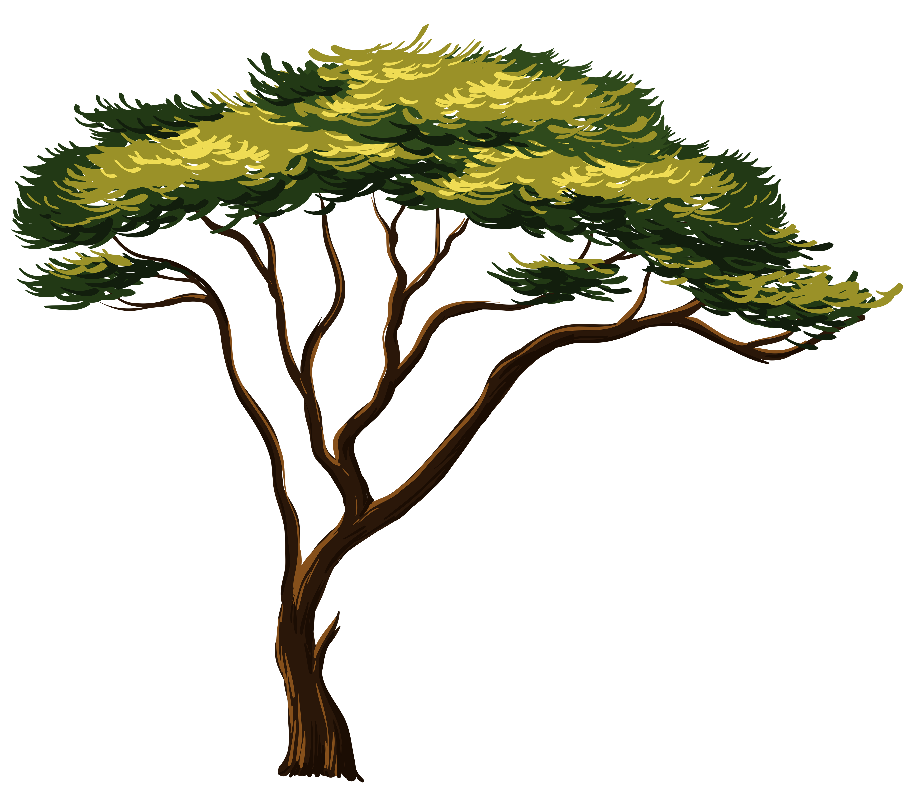Download High Quality Tree clipart jungle Transparent PNG Images - Art
