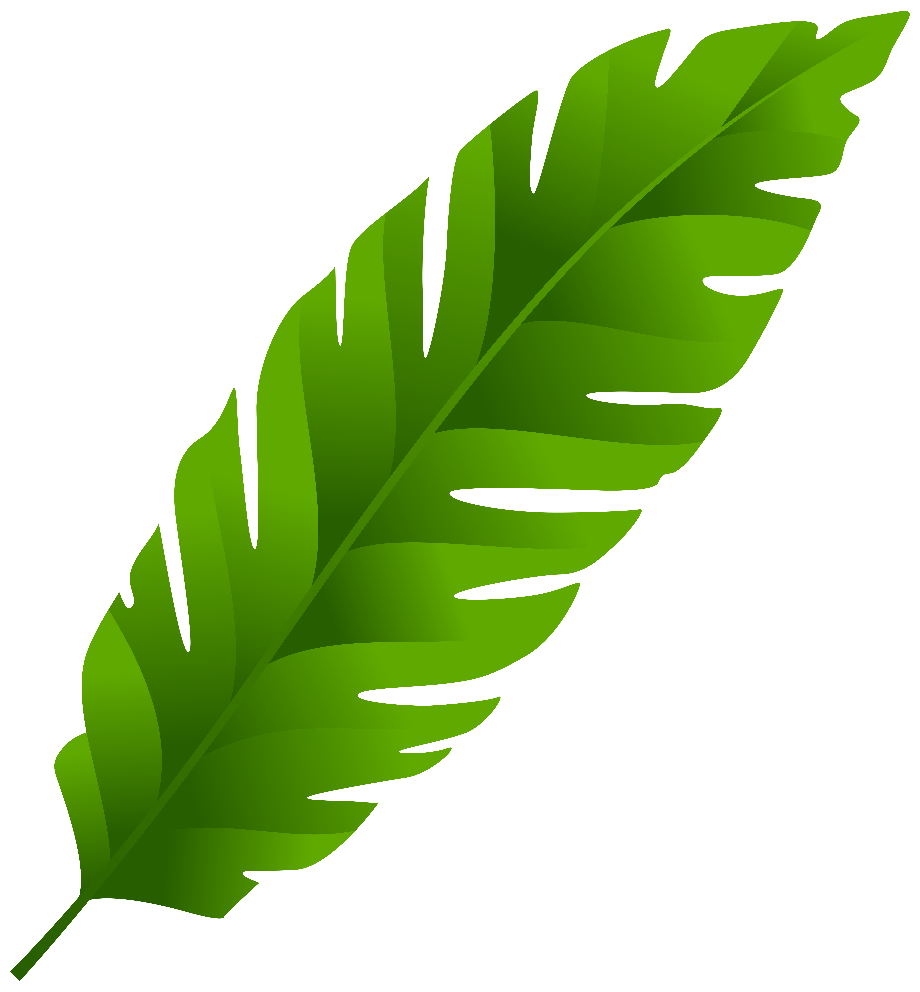 leaf clipart jungle