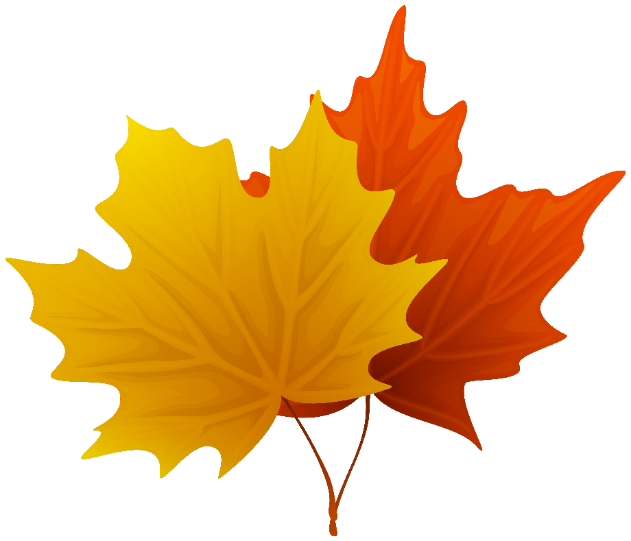 fall leaf clipart maple