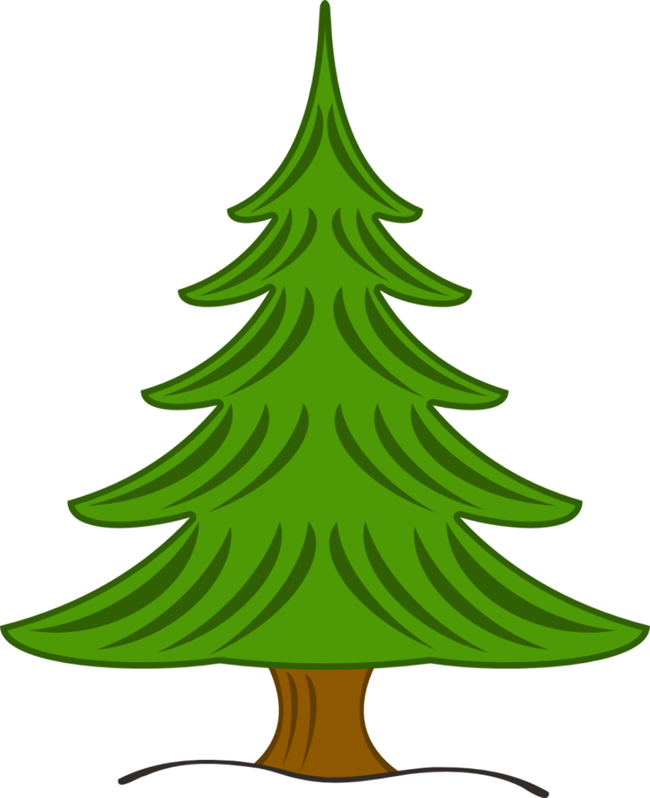 pine tree clipart easy