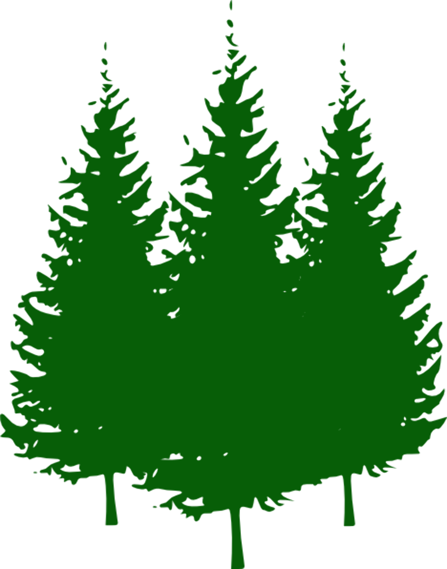 clipart tree forest