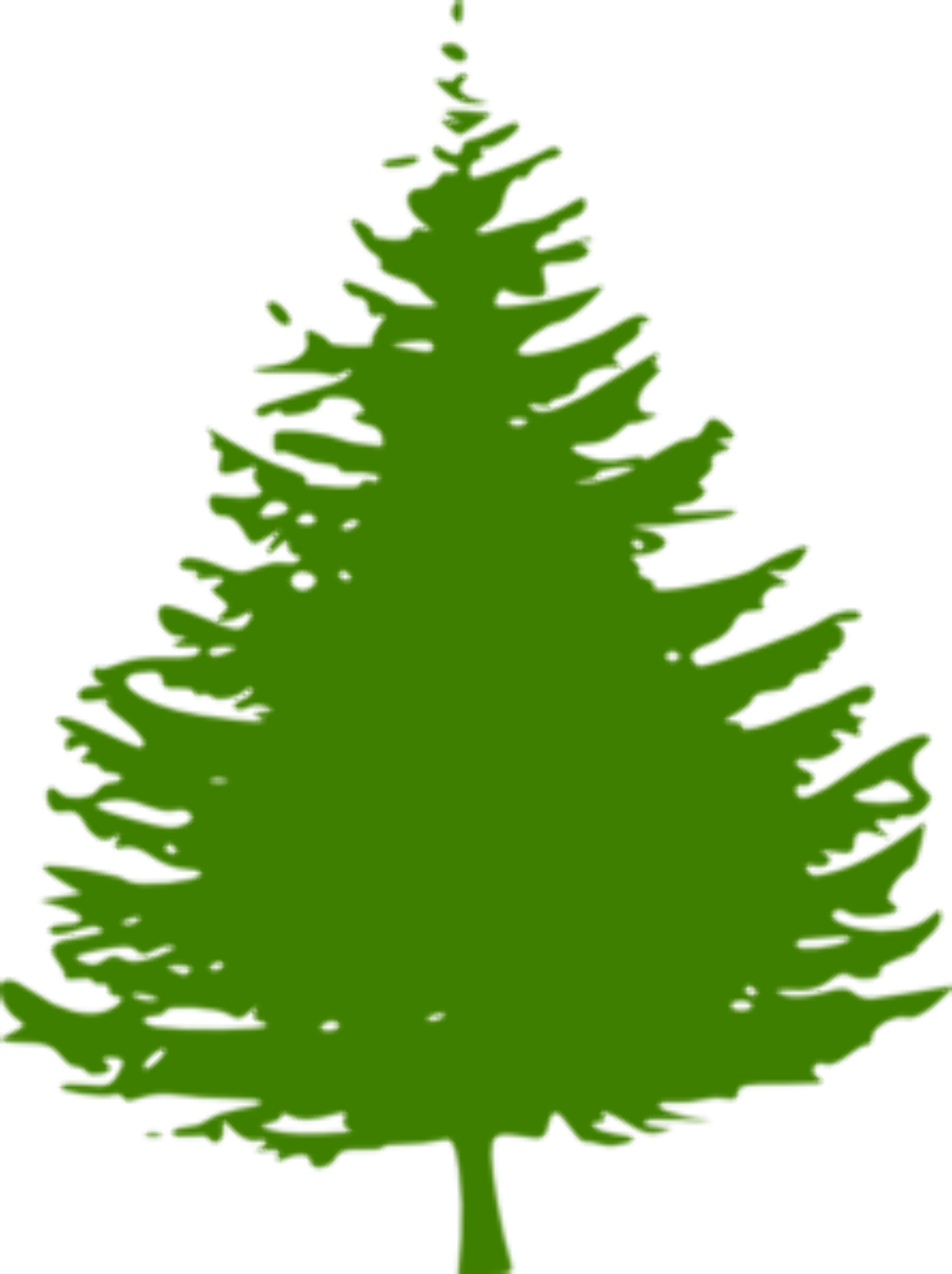 Tree clipart pine