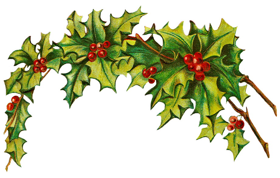 free christmas clipart holly