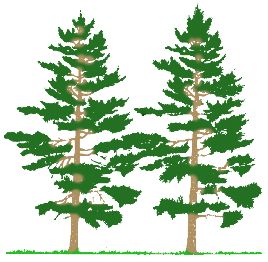 Tree clipart rubber