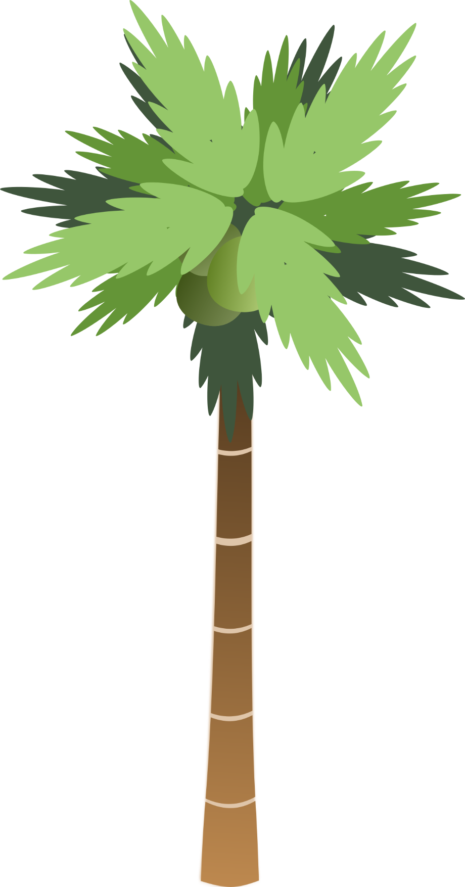 Tree clipart palm