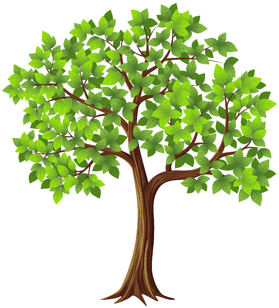 Vector Art Tree Png Free Download Kpng