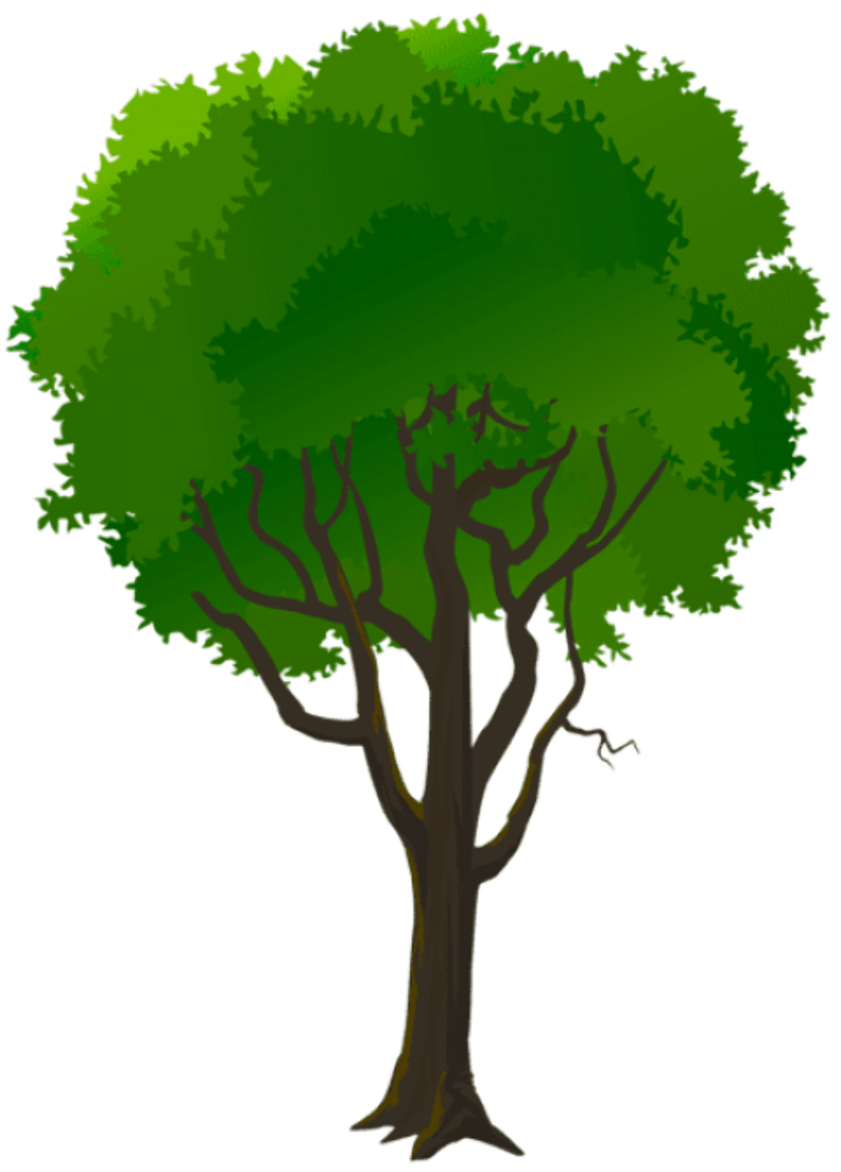 Tree clipart transparent