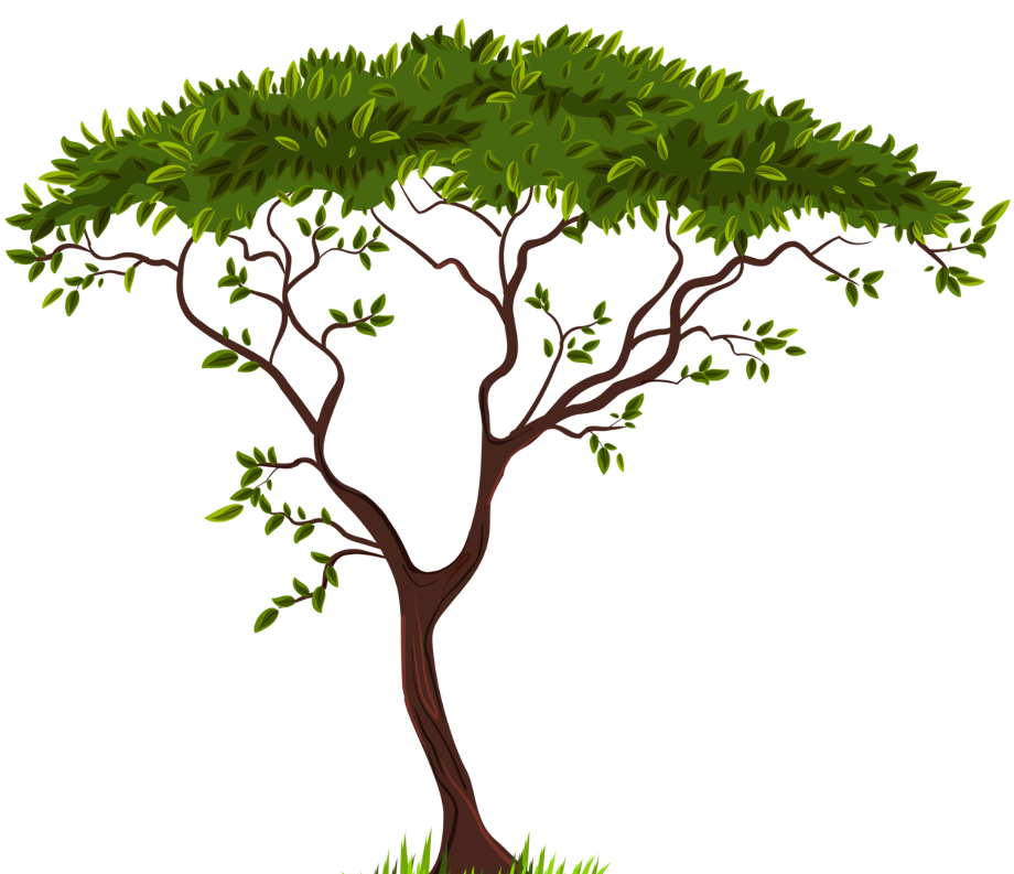 Tree clipart transparent