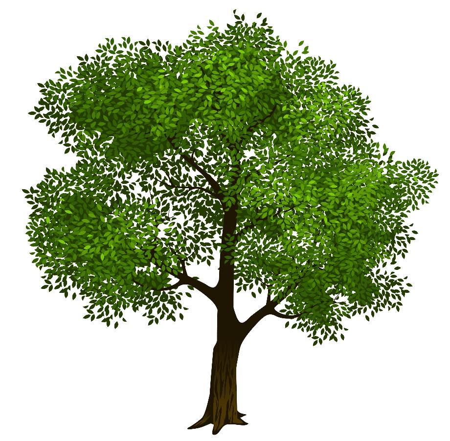 Tree clipart transparent