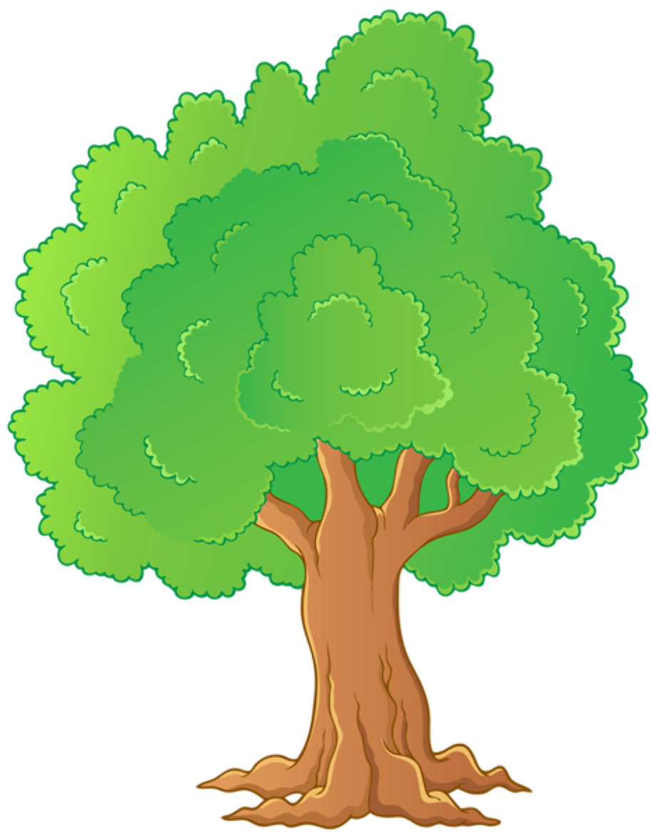 tree transparent background clipart