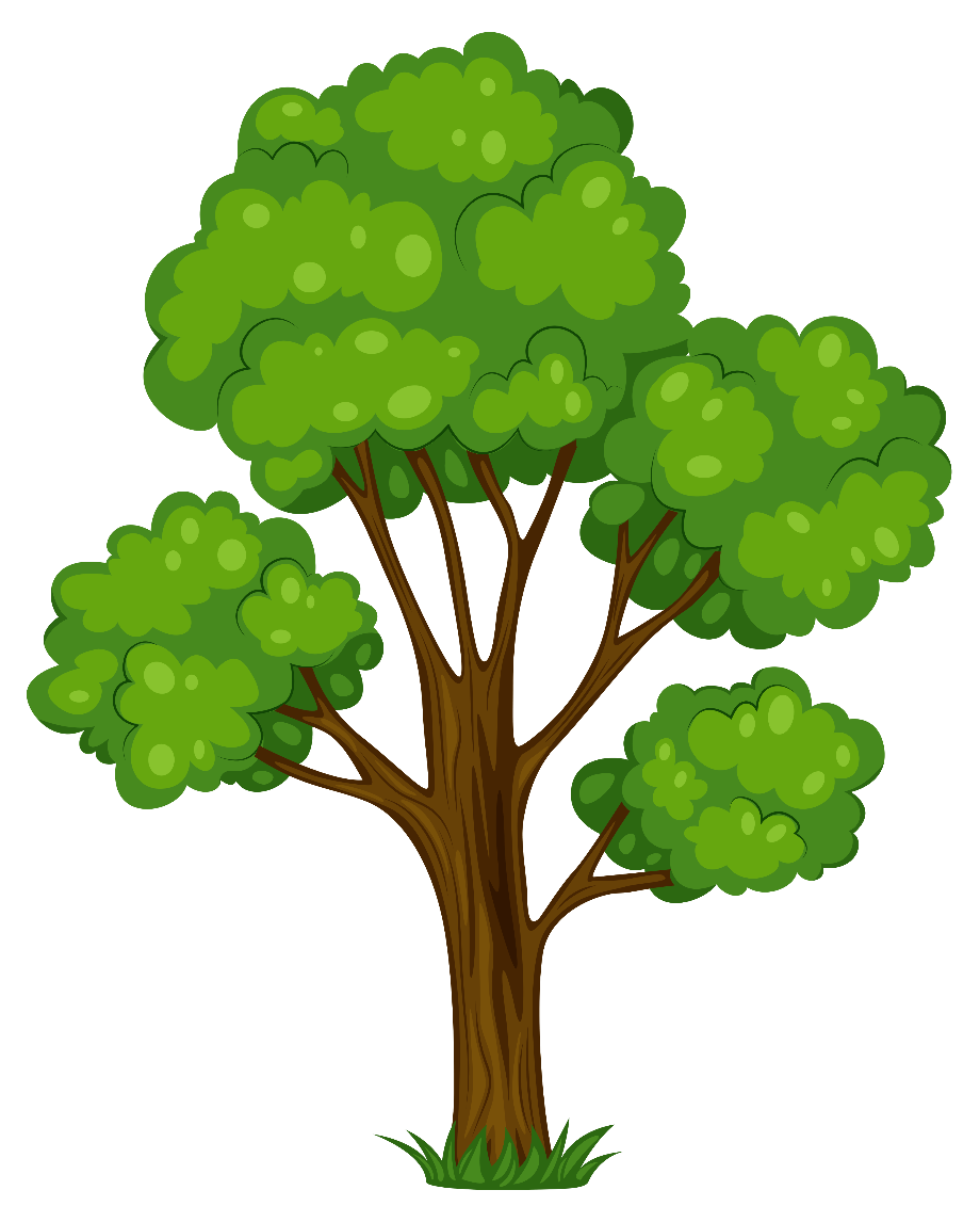 Tree clipart transparent background