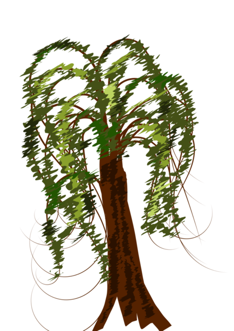 Download High Quality Tree clipart weeping willow Transparent PNG