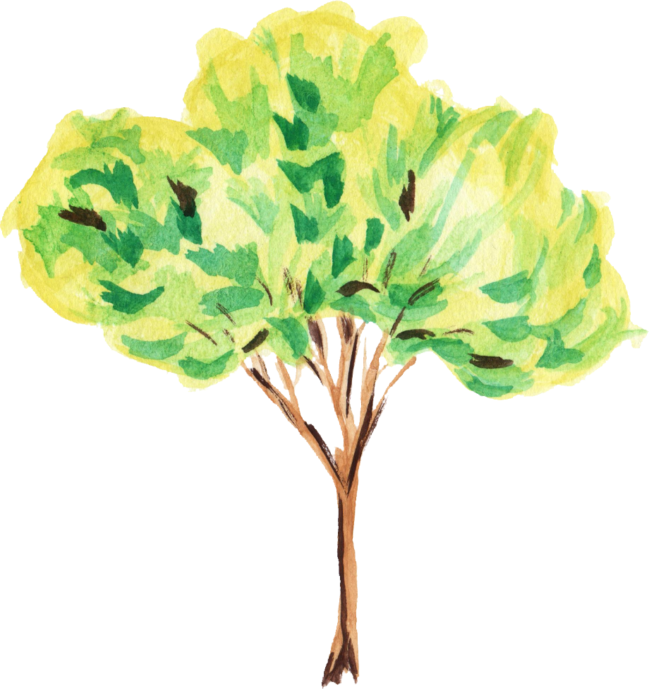 tree transparent watercolor