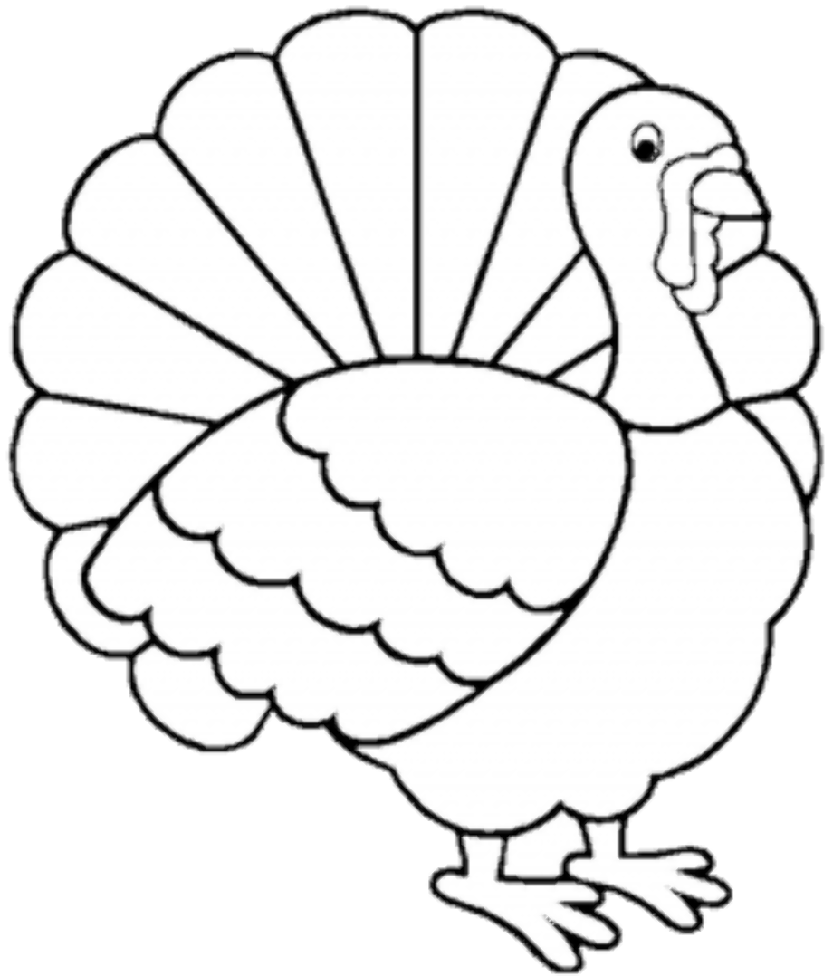Download High Quality turkey clipart black and white