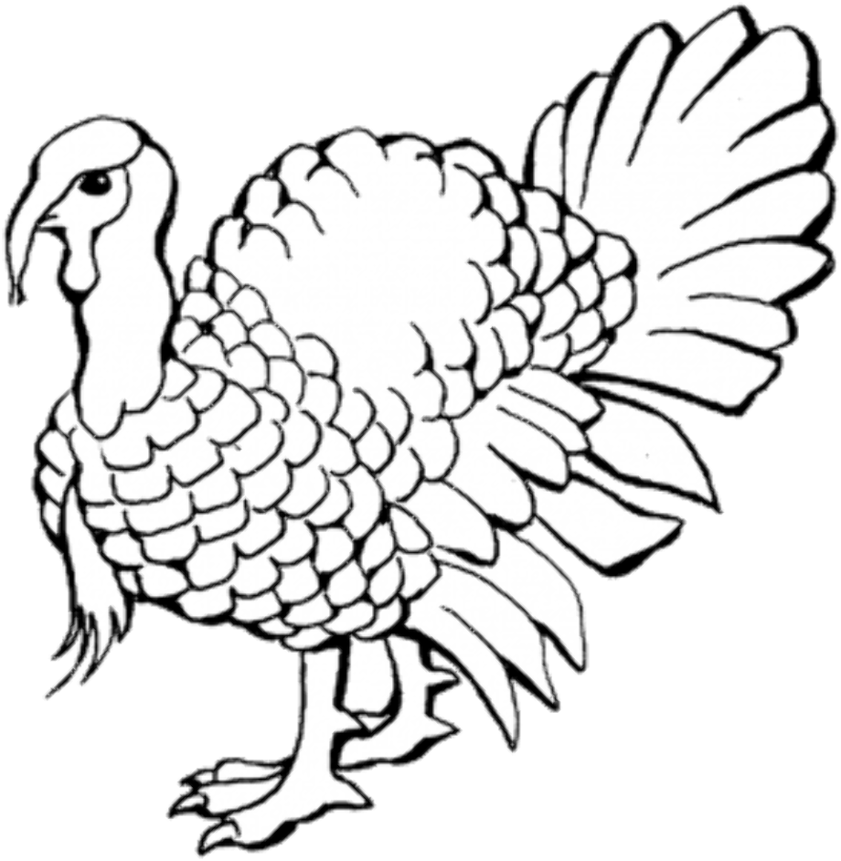 Download High Quality Turkey Clipart Black And White Wild Transparent