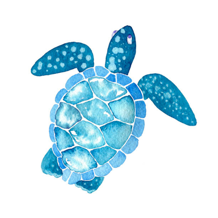 Sea Turtle ClipArt