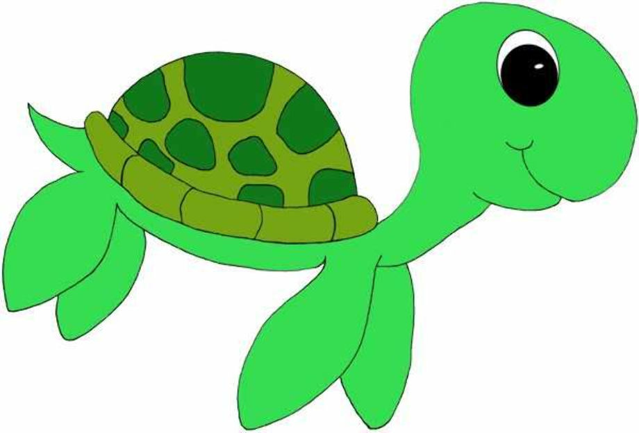 Turtle sea