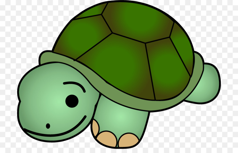 turtle clipart transparent