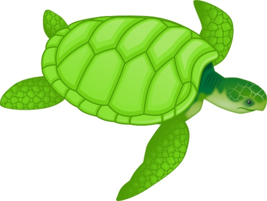 turtle clipart swimming