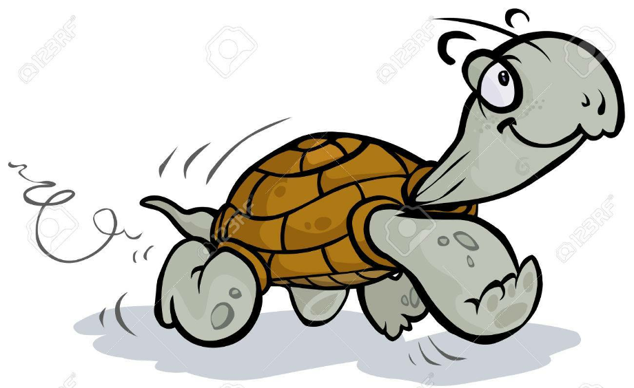 Download High Quality turtle clipart running Transparent PNG Images