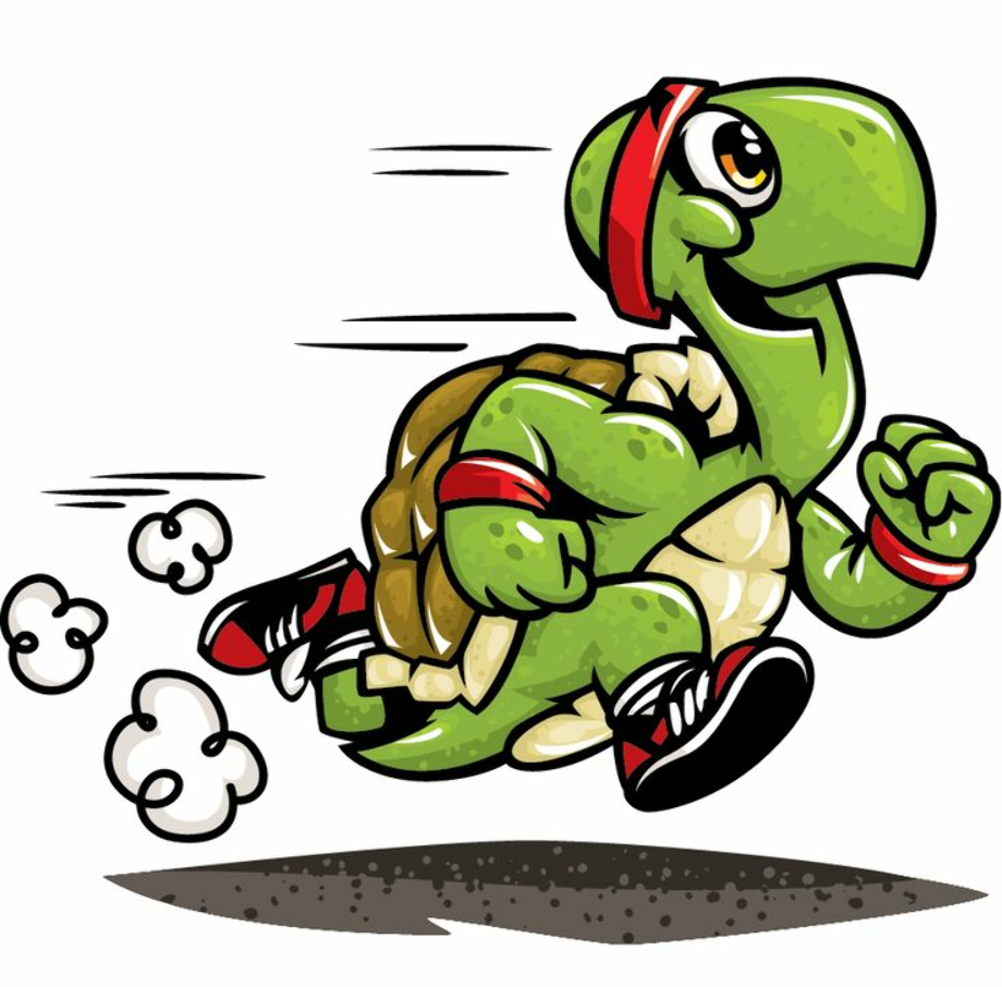 turtle clipart running