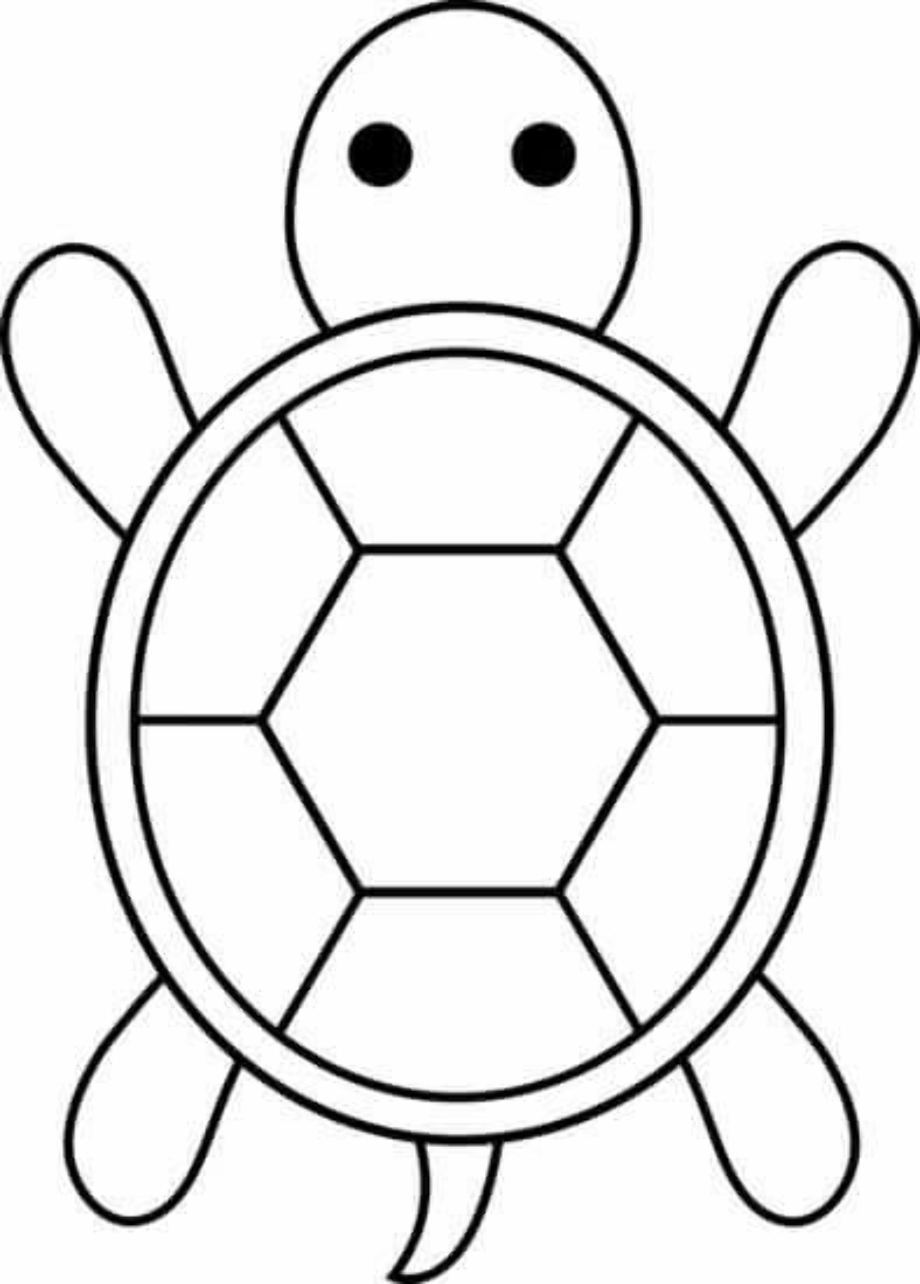 turtle clipart outline