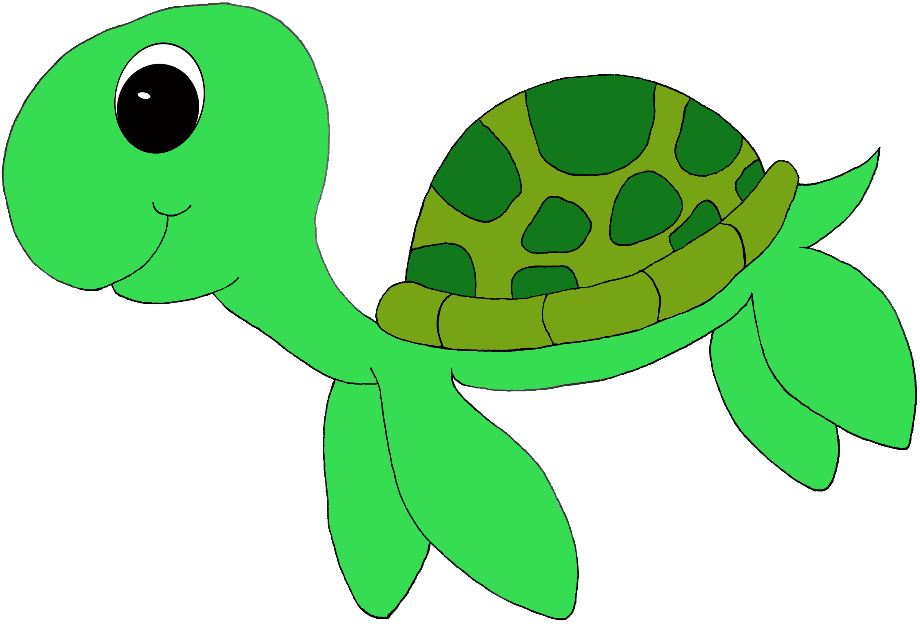 turtle clipart baby
