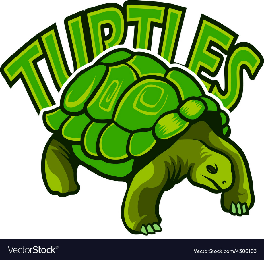 turtle logo vector