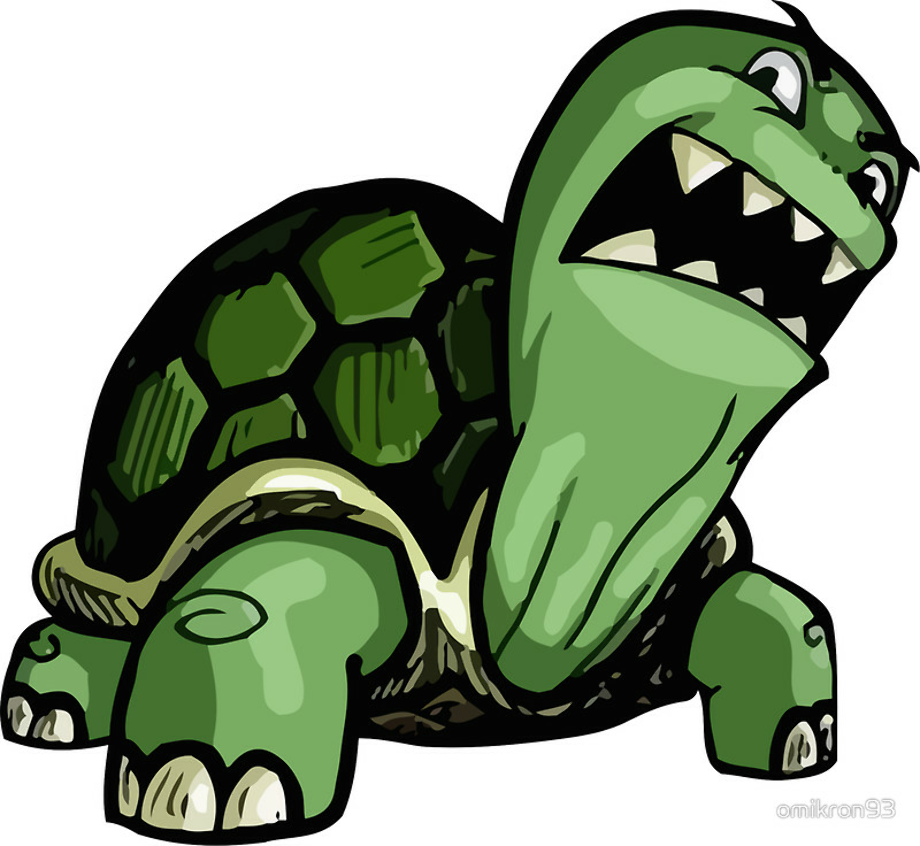 Download High Quality Turtle Logo Clipart Transparent PNG Images Art.