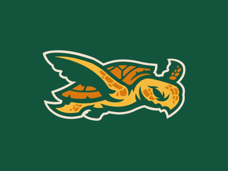 turtle logo mascot