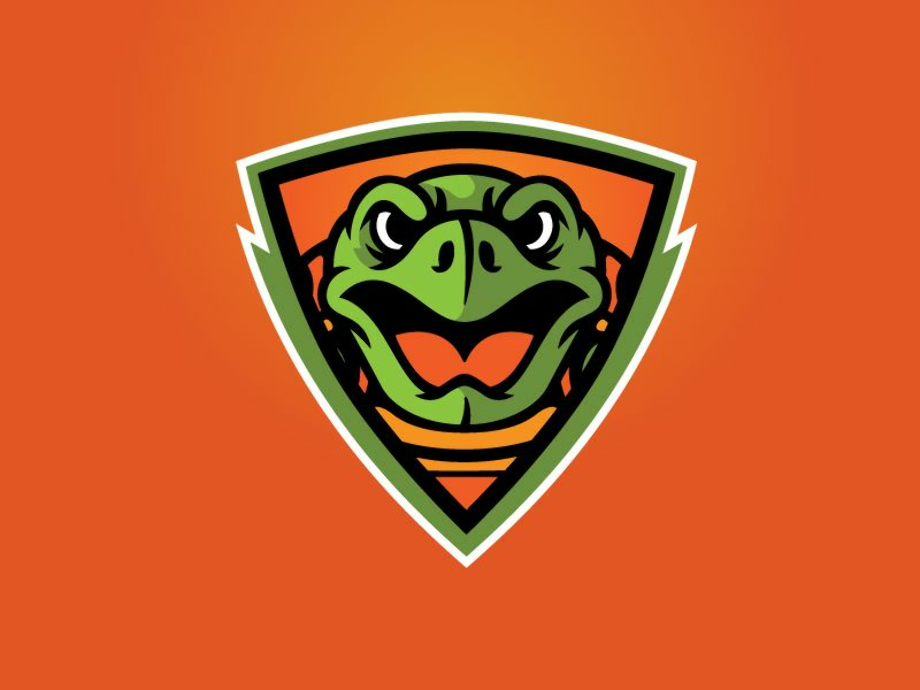 turtle logo gaming