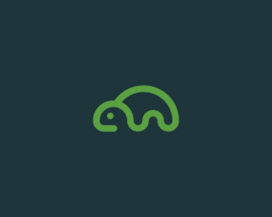 turtle logo creative