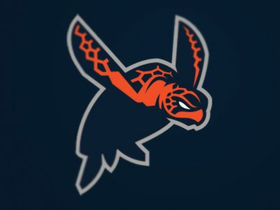 turtle logo sports